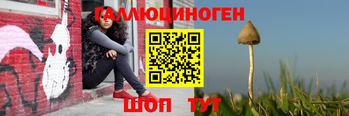 Галлюциногенные грибы Psilocybe  Вход с VPN  Псилоцибиновые грибы ЛСД  Усть-Илимск 
